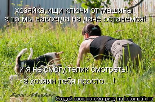 Котоматрица: хозяйка,ищи ключи от машины! а то мы навсегда на даче останемся! и я не смогу телик смотреть! а хозяин тебя просто....!