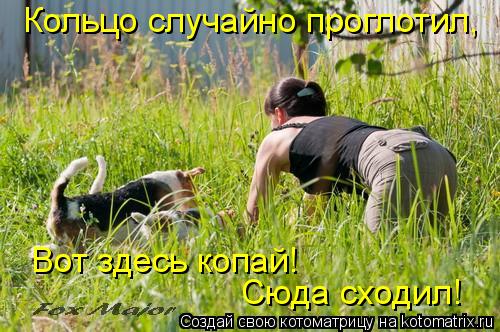 Кольцо случайно проглотил, Вот здесь копай! Сюда сходил!... Котоматрица: Кольцо случайно проглотил, Вот здесь копай! Сюда сходил!