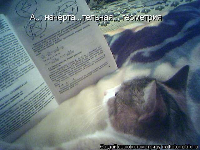 Котоматрица: А... начерта...тельная... геометрия