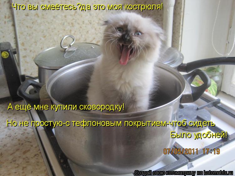 Котоматрица: Но не простую-с тефлоновым покрытием-чтоб сидеть Было удобней! А ещё мне купили сковородку! Что вы смеётесь?да это моя кострюля!