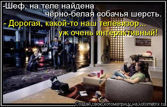Котоматрица: -Шеф, на теле найдена  чёрно-белая собачья шерсть. - Дорогая, какой-то наш телевизор...  уж очень интерактивный!