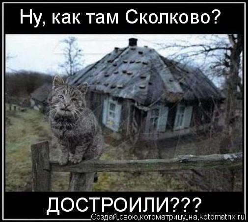 Котоматрица: Ну, как там Сколково? ДОСТРОИЛИ???