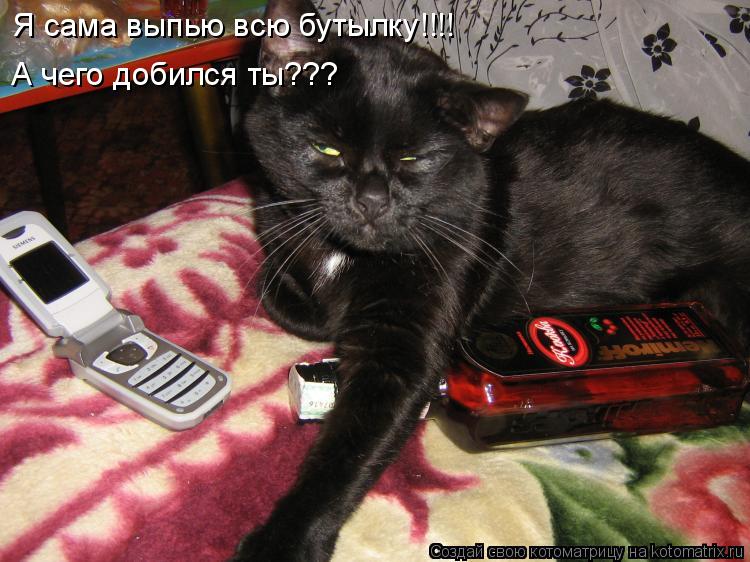 Котоматрица: Я сама выпью всю бутылку!!!! А чего добился ты???