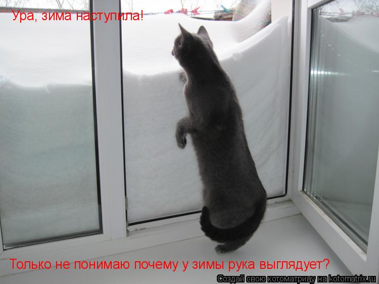 Котоматрица: Ура, зима наступила! Только не понимаю почему у зимы рука выглядует?