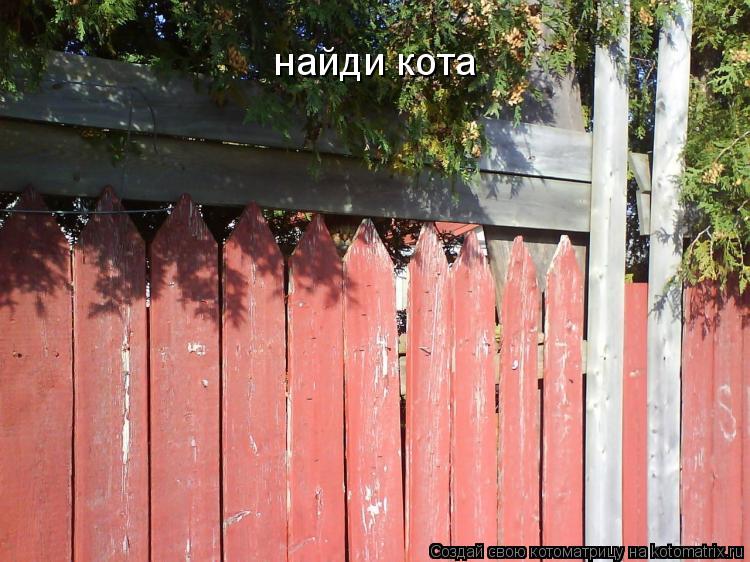 Котоматрица: найди кота