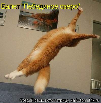 Котоматрица: Балет "Лебединое озеро"