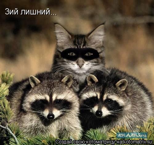 Котоматрица: 3ий лишний ...