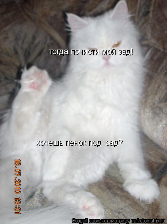 Котоматрица: хочешь пенок под  зад? тогда почисти мой зад!