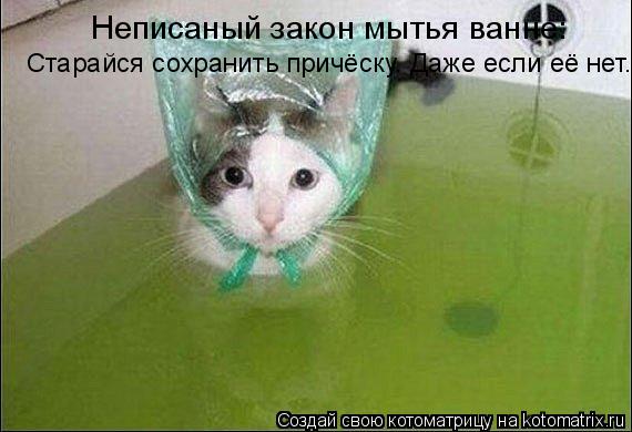 Старайся сохранить причёску. Даже если её нет. Неписаный закон мытья ванне:... Котоматрица: Старайся сохранить причёску. Даже если её нет. Неписаный закон мытья ванне: