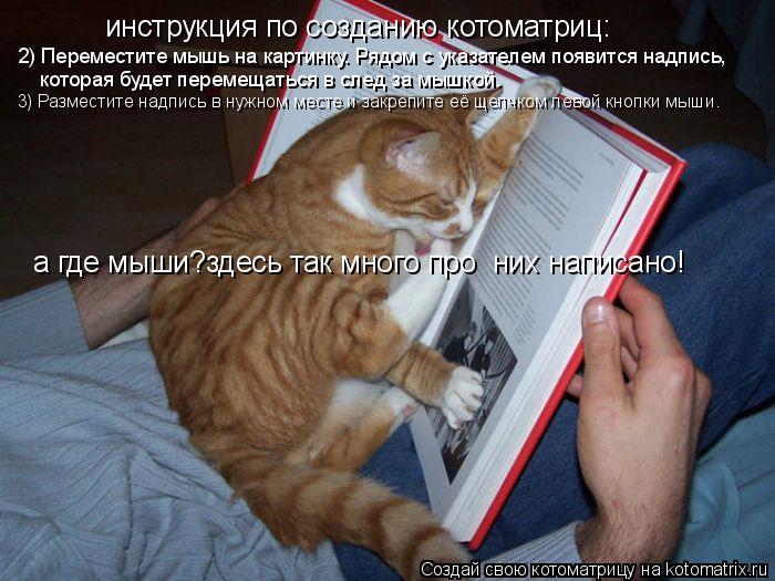 Котоматрица: инструкция по созданию котоматриц: 2) Переместите мышь на картинку. Рядом с указателем появится надпись,  которая будет перемещаться в след 