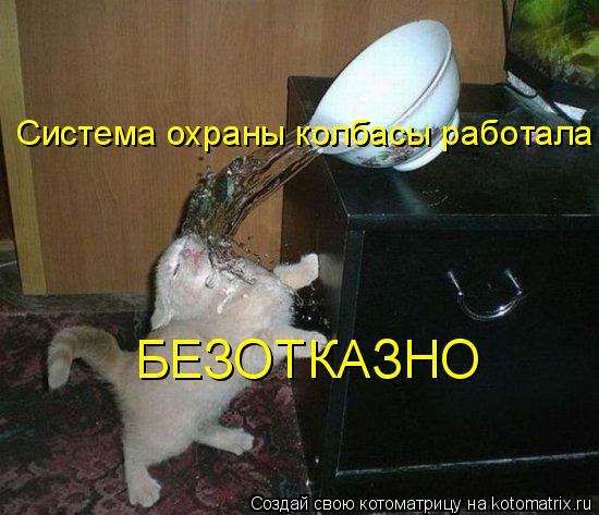 Система охраны колбасы работала БЕЗОТКАЗНО... Котоматрица: Система охраны колбасы работала БЕЗОТКАЗНО