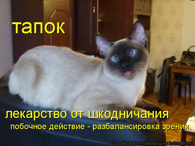 Котоматрица: тапок лекарство от шкодничания побочное действие - разбалансировка зрения. побочное действие - разбалансировка зрения. побочное действие -