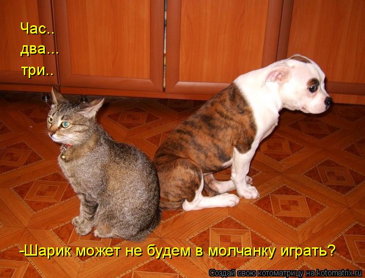 Час.. два... три.. -Шарик может не будем в молчанку играть?... Котоматрица: Час.. два... три.. -Шарик может не будем в молчанку играть?