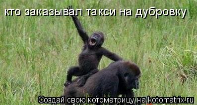 кто заказывал такси на дубровку... Котоматрица: кто заказывал такси на дубровку