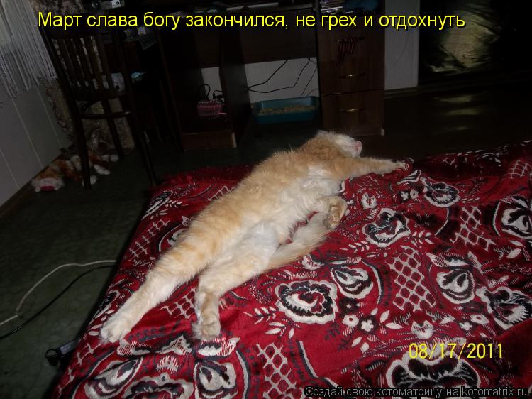 Март слава богу закончился, не грех и отдохнуть... Котоматрица: Март слава богу закончился, не грех и отдохнуть