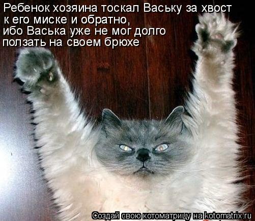 Ребенок хозяина тоскал Ваську за хвост к его миске и обратно, ибо Васька уже не мог долго к его миск... Котоматрица: Ребенок хозяина тоскал Ваську за хвост к его миске и обратно, ибо Васька уже не мог долго к его миске и обратно, ползать на своем брюхе