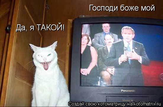 Господи боже мой Да, я ТАКОЙ!... Котоматрица: Господи боже мой Да, я ТАКОЙ!