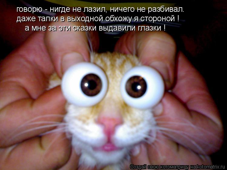 говорю - нигде не лазил, ничего не разбивал. даже тапки в выходной обхожу я стороной ! а мне за эти с... Котоматрица: говорю - нигде не лазил, ничего не разбивал. даже тапки в выходной обхожу я стороной ! а мне за эти сказки выдавили глазки !