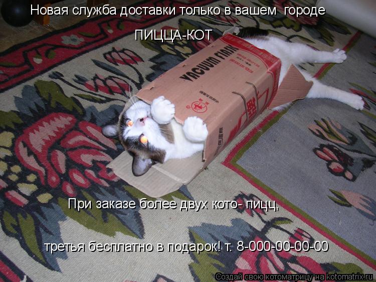Новая служба доставки только в вашем городе ПИЦЦА-КОТ При заказе более двух кото- пицц, третья бесп... Котоматрица: Новая служба доставки только в вашем городе ПИЦЦА-КОТ При заказе более двух кото- пицц, третья бесплатно в подарок! т. 8-000-00-00-00
