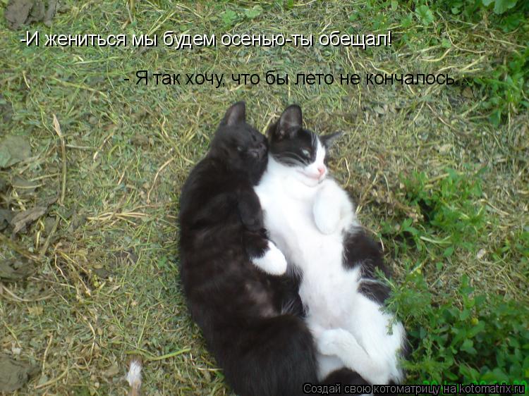 -И жениться мы будем осенью-ты обещал! - Я так хочу, что бы лето не кончалось...... Котоматрица: -И жениться мы будем осенью-ты обещал! - Я так хочу, что бы лето не кончалось...