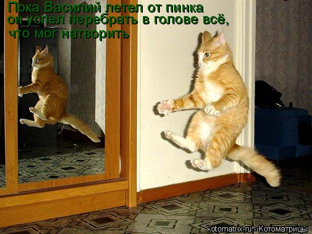 Пока Василий летел от пинка он успел перебрать в голове всё, что мог натворить... Котоматрица: Пока Василий летел от пинка он успел перебрать в голове всё, что мог натворить