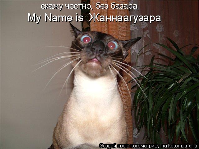 скажу честно, без базара, My Name is Жаннаагузара... Котоматрица: скажу честно, без базара, My Name is Жаннаагузара