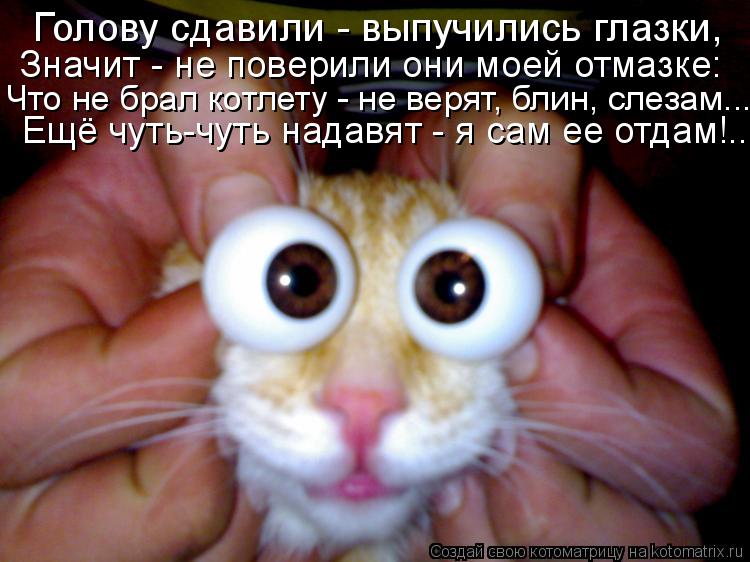 Котоматрица: Голову сдавили - выпучились глазки, Значит - не поверили они моей отмазке: Что не брал котлету - не верят, блин, слезам... Ещё чуть-чуть надавят 