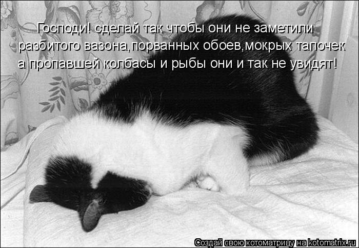 Котоматрица: Господи! сделай так чтобы они не заметили разбитого вазона,порванных обоев,мокрых тапочек а пропавшей колбасы и рыбы они и так не увидят!