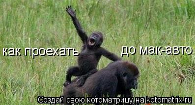 Котоматрица: до мак-авто как проехать