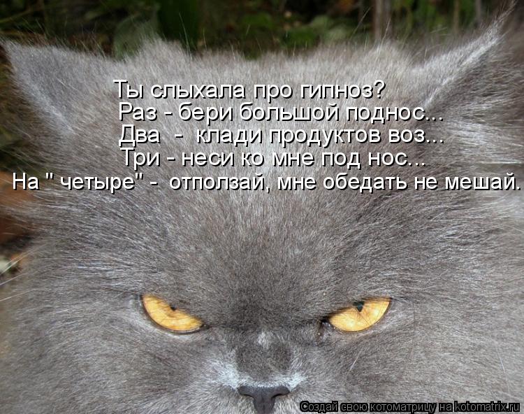 Ты слыхала про гипноз? Раз - бери большой поднос... Два - клади продуктов воз... Три - неси ко мне ... Котоматрица: Ты слыхала про гипноз? Раз - бери большой поднос... Два - клади продуктов воз... Три - неси ко мне под нос... На " четыре" - отползай, мне обедать