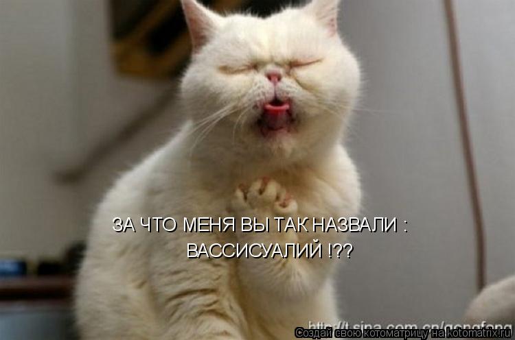 ЗА ЧТО МЕНЯ ВЫ ТАК НАЗВАЛИ : ВАССИСУАЛИЙ !??... Котоматрица: ЗА ЧТО МЕНЯ ВЫ ТАК НАЗВАЛИ : ВАССИСУАЛИЙ !??