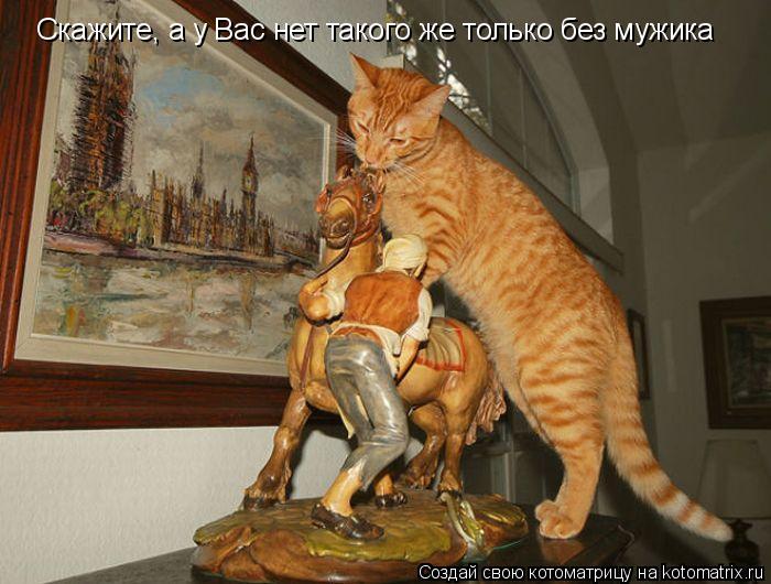 Скажите, а у Вас нет такого же только без мужика... Котоматрица: Скажите, а у Вас нет такого же только без мужика