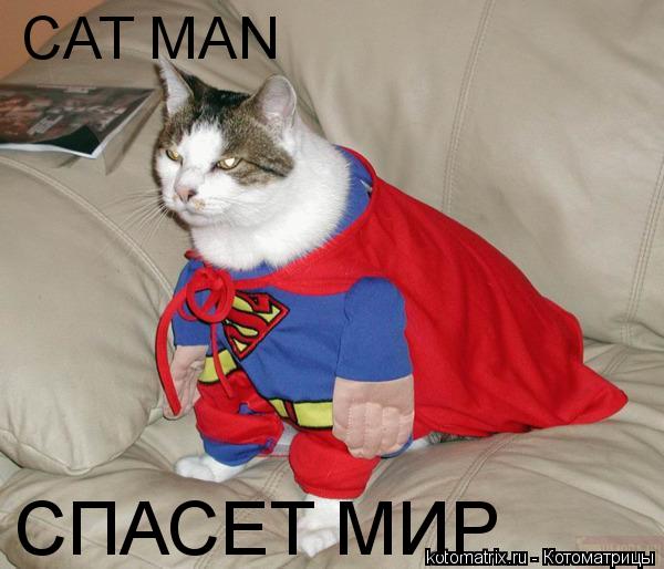 CAT MAN СПАСЕТ МИР... Котоматрица: CAT MAN СПАСЕТ МИР
