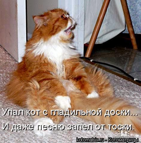 Упал кот с гладильной доски... И даже песню запел от тоски.... Котоматрица: Упал кот с гладильной доски... И даже песню запел от тоски.