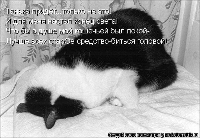 Танька придёт...только не это! И для меня настал конец света! Что бы в душе мой кошечьей был покой- Л... Котоматрица: Танька придёт...только не это! И для меня настал конец света! Что бы в душе мой кошечьей был покой- Лучше всех старОе средство-биться головой!