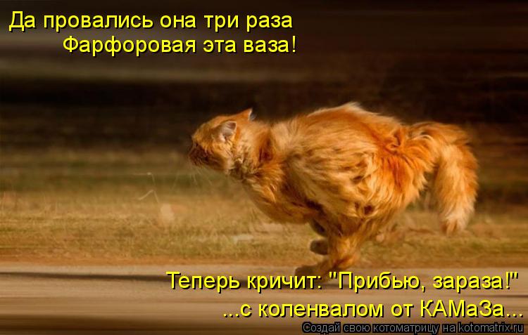 Да провались она три раза Фарфоровая эта ваза! Теперь кричит: "Прибью, зараза!" ...с коленвалом от КА... Котоматрица: Да провались она три раза Фарфоровая эта ваза! Теперь кричит: "Прибью, зараза!" ...с коленвалом от КАМаЗа...