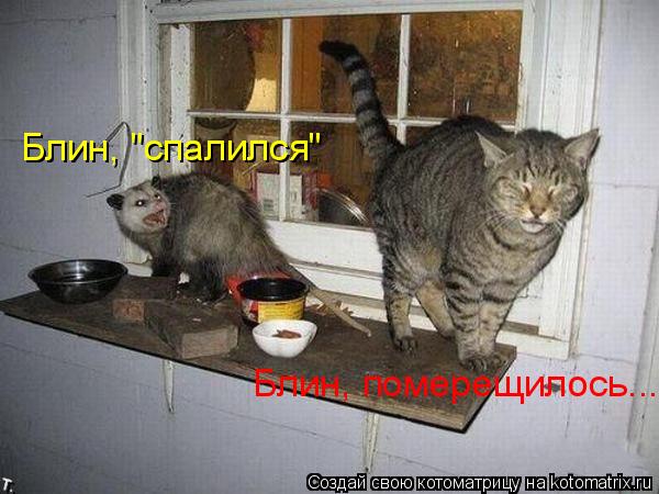 Блин, "спалился" Блин, померещилось...... Котоматрица: Блин, "спалился" Блин, померещилось...