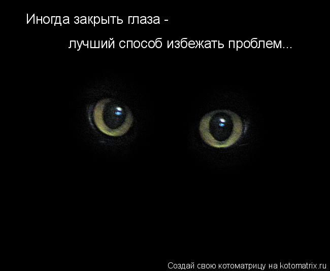 Иногда закрыть глаза - лучший способ избежать проблем...... Котоматрица: Иногда закрыть глаза - лучший способ избежать проблем...
