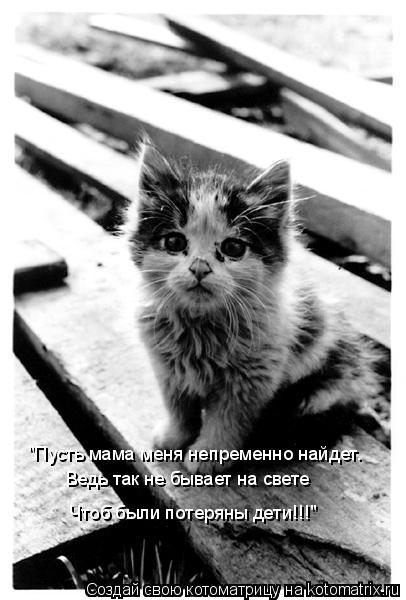 "Пусть мама меня непременно найдет. Ведь так не бывает на свете Чтоб были потеряны дети!!!"... Котоматрица: "Пусть мама меня непременно найдет. Ведь так не бывает на свете Чтоб были потеряны дети!!!"