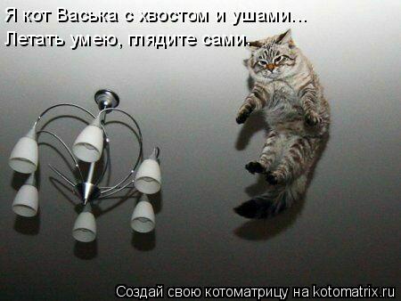Я кот Васька с хвостом и ушами... Летать умею, глядите сами.... Котоматрица: Я кот Васька с хвостом и ушами... Летать умею, глядите сами.