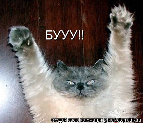 БУУУ!!... Котоматрица: БУУУ!!