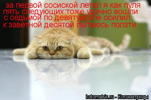 Котоматрица: за первой сосиской летел я как пуля пять следующих:тоже удачно вошли с седьмой по девятую:еле осилил к заветной десятой пытаюсь ползти