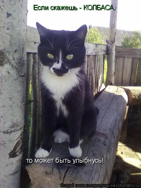 Котоматрица: Если скажешь - КОЛБАСА,  то может быть улыбнусь! то может быть улыбнусь!