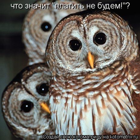 Котоматрица: что значит "платить не будем!"?