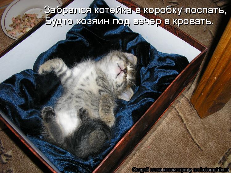 Котоматрица: Забрался котейка в коробку поспать, Будто хозяин под вечер в кровать.