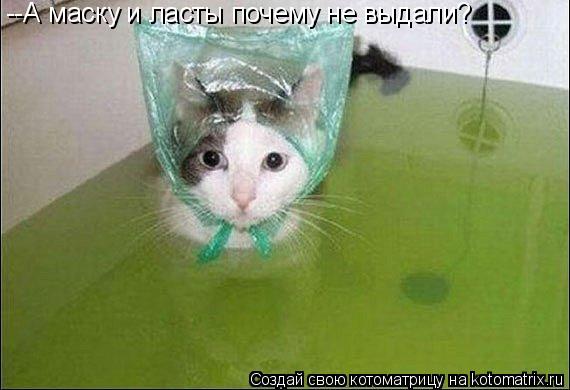 Котоматрица: --А маску и ласты почему не выдали?