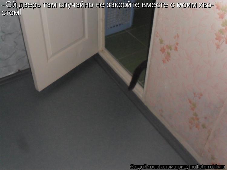 Котоматрица: --Эй,дверь там случайно не закройте вместе с моим хво- стом!