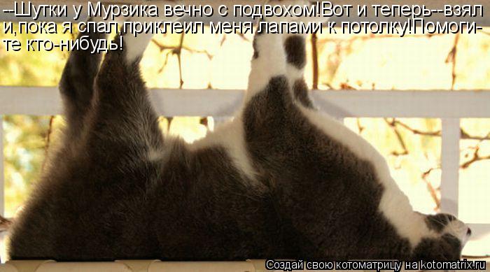 Котоматрица: --Шутки у Мурзика вечно с подвохом!Вот и теперь--взял и,пока я спал,приклеил меня лапами к потолку!Помоги- те кто-нибудь!