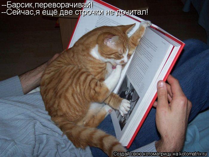 Котоматрица: --Барсик,переворачивай! --Сейчас,я ещё две строчки не дочитал!