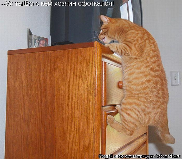 Котоматрица: --Ух ты!Во с кем хозяин сфоткался!